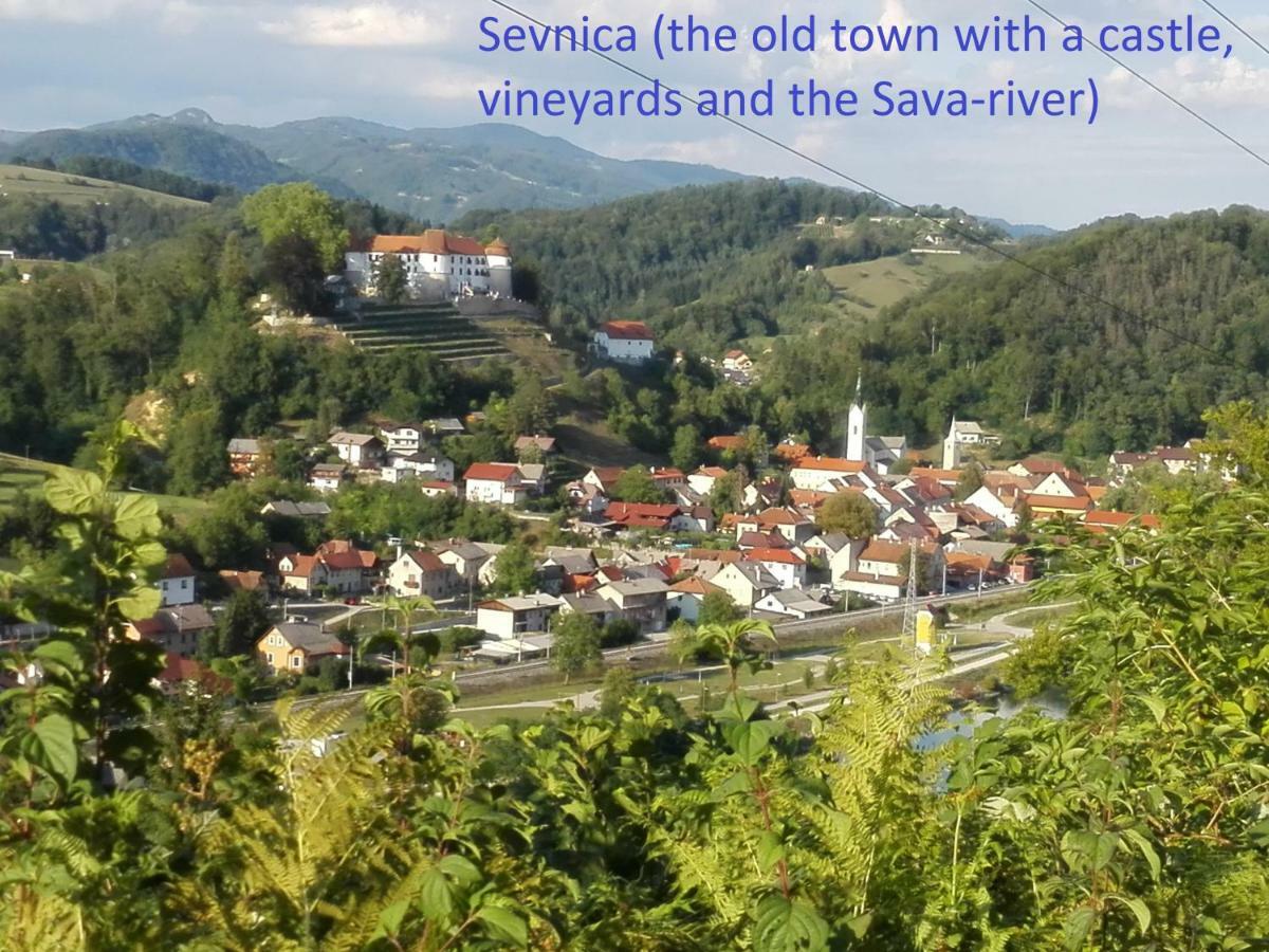 Getaway "At The Three Lights" Villa Sevnica Luaran gambar